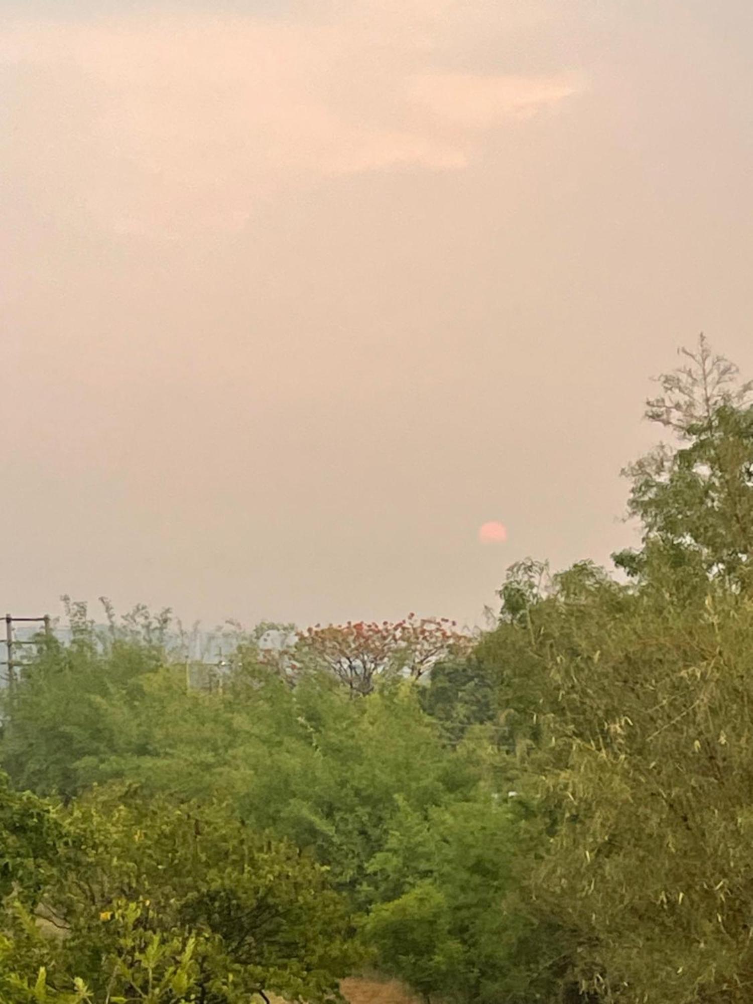 Samruddhi S1 Homestay Garden Villa Or S3 Nagpur Exteriör bild
